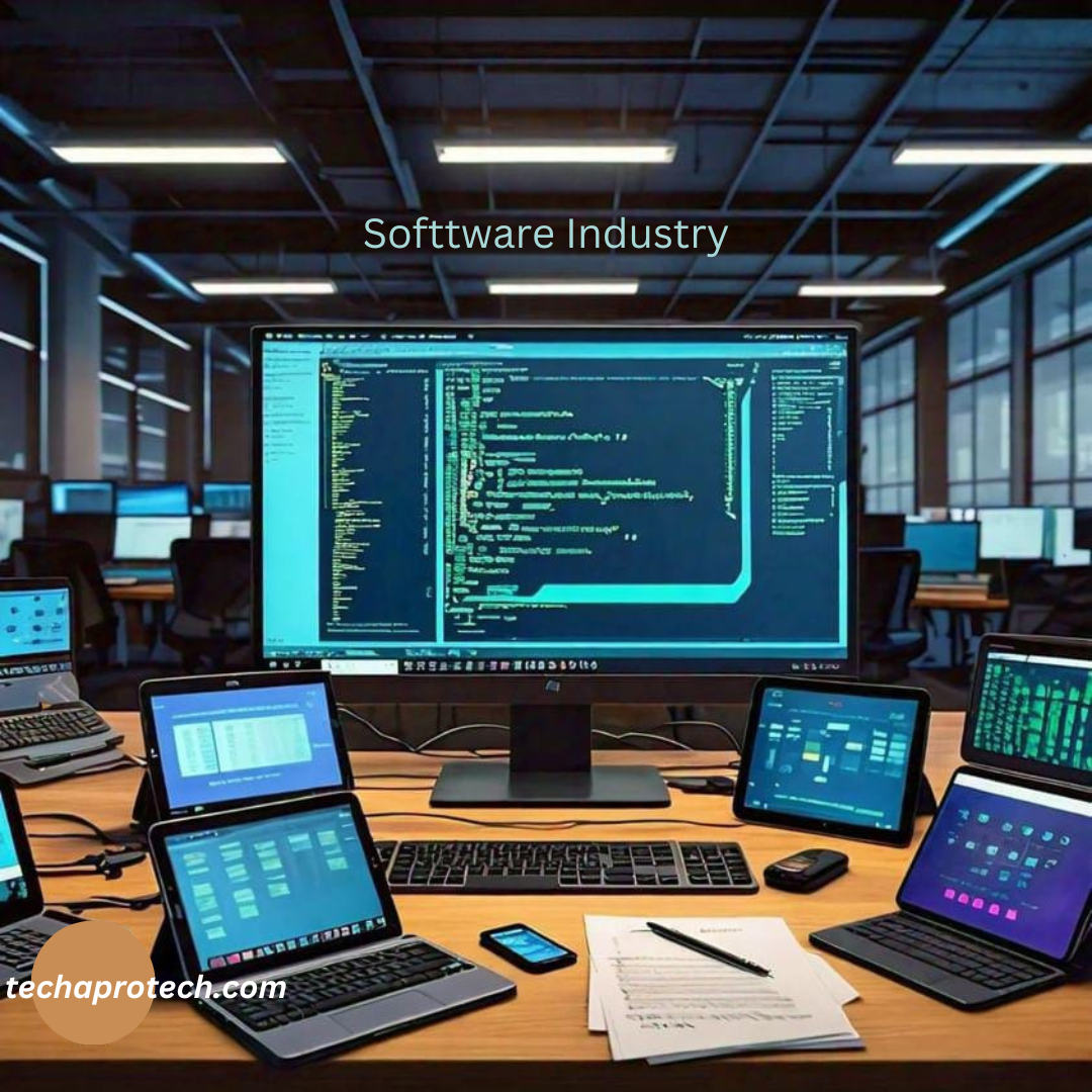 Software Industry